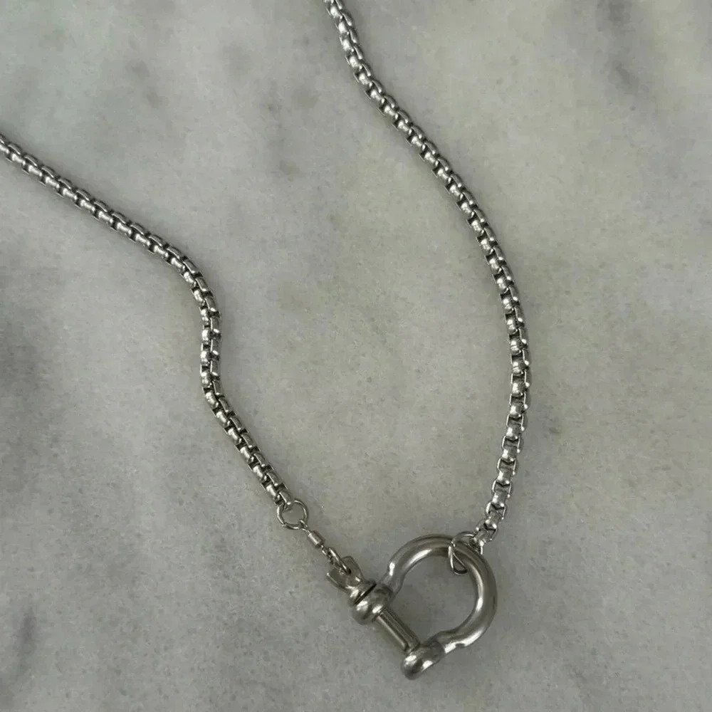 COPY - COPY - Silver Chunky Horse Bit Chain Necklace

Brand New